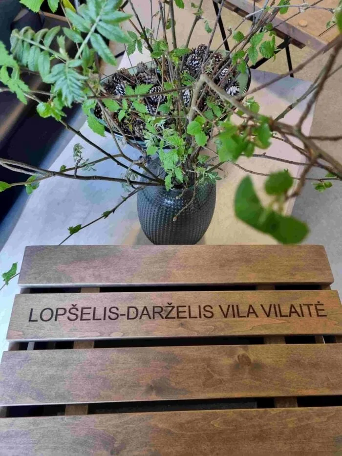 Graviruota žaidimo dėžė